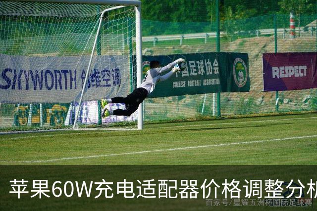 苹果60W充电适配器价格调整分析